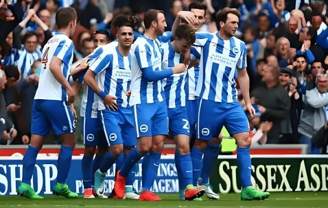 尊龙凯时-利物浦主场击败布莱顿，继续领跑英超(利物浦主场击败布莱顿,继续领跑英超冠军)