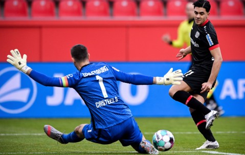 尊龙凯时-包含赞助商巴拉松瓦声明：支持勒沃库森，距离德甲夺冠分的词条