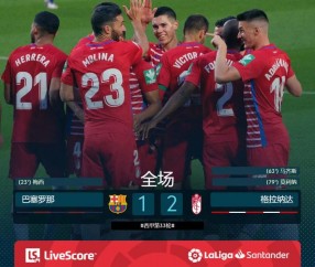 尊龙凯时-马竞主场挫败格拉纳达，稳坐积分榜头名的简单介绍